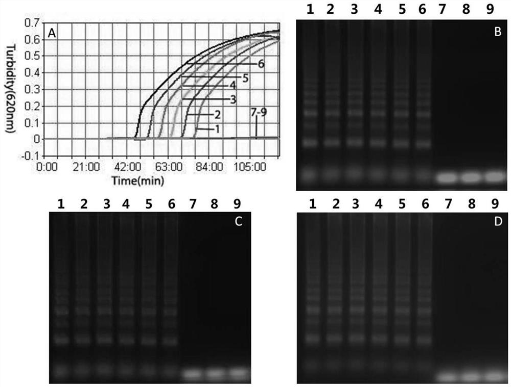 Primer and method for detecting Peste des petits ruminants virus and bluetongue virus