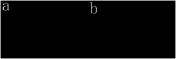 Preparation method of colored metallographic specimens of aluminum alloys of Al-Mg and Al-Mg-Si series