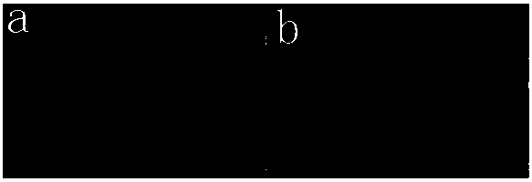 Preparation method of colored metallographic specimens of aluminum alloys of Al-Mg and Al-Mg-Si series