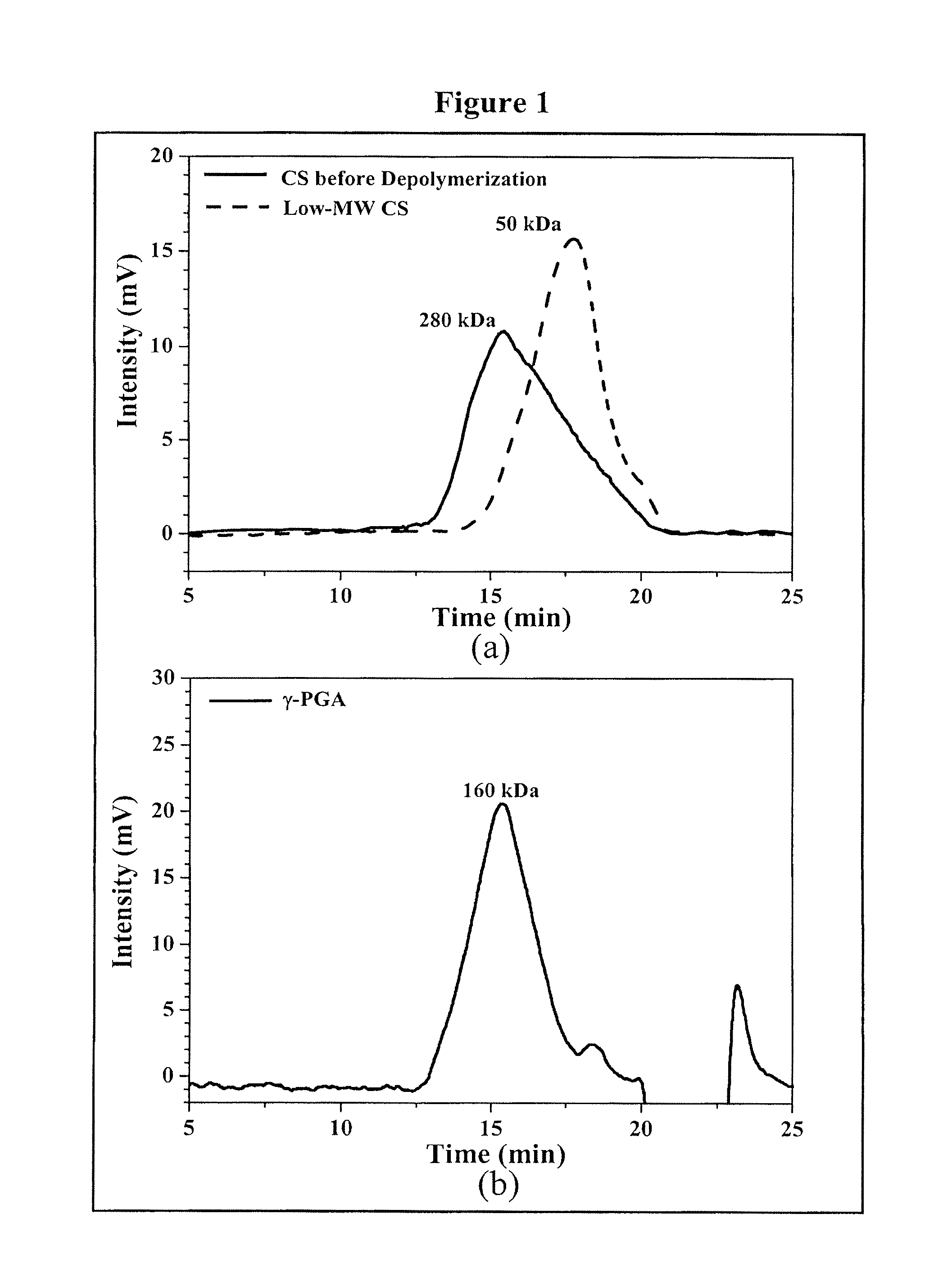 Nanoparticles for protein drug delivery