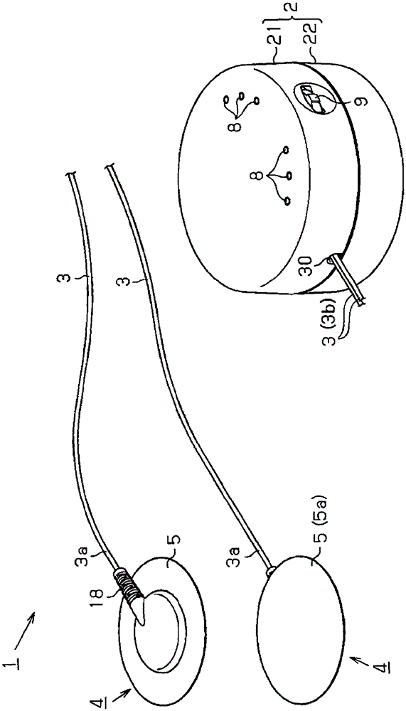 Low Frequency Therapy Apparatus