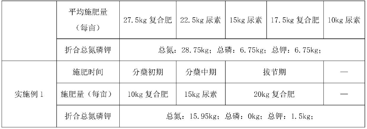 Wheat-rape interplanting rice planting method without symbiotic period