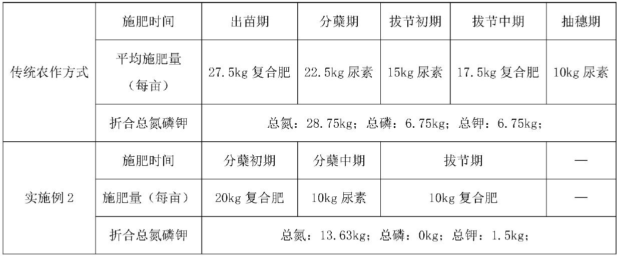 Wheat-rape interplanting rice planting method without symbiotic period