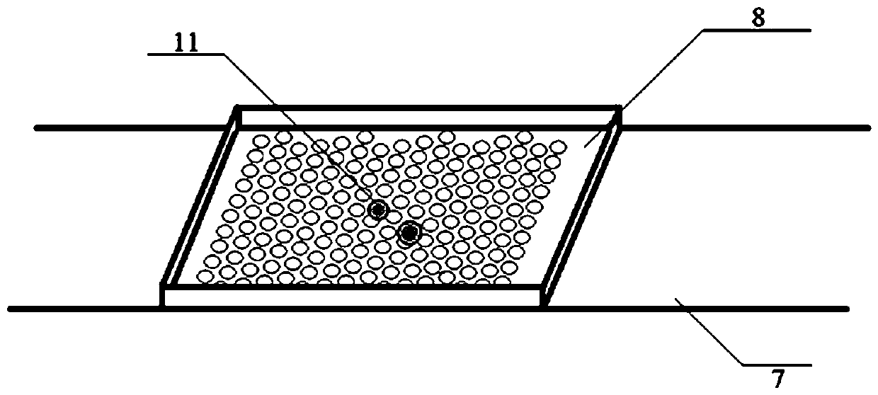 Intelligent sorting system for batch detection of pearl shapes based on machine vision