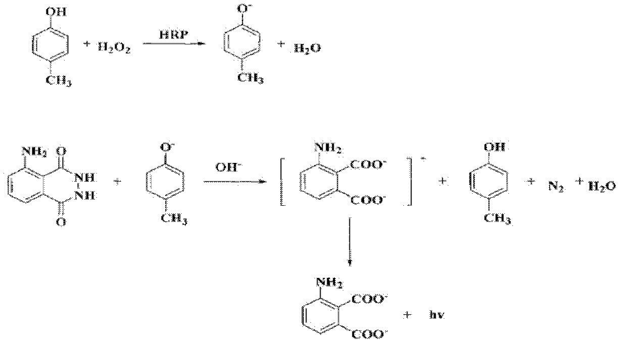 Sulfanilamide drug chemiluminescence enzyme-linked immunodetection kit