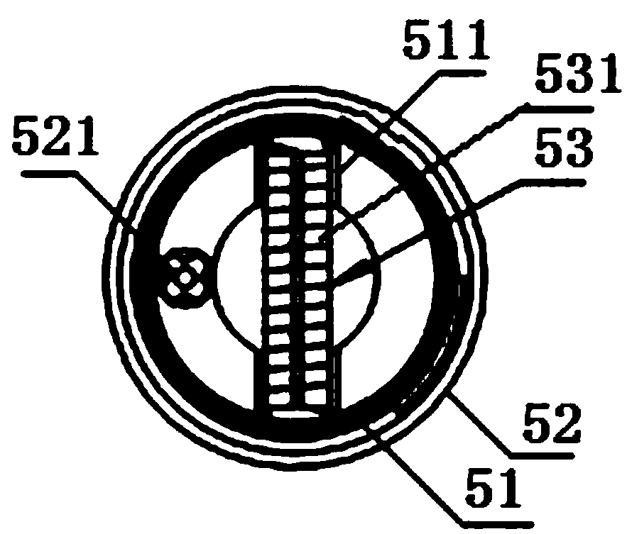 Automatic subcultivation turning device for biphase blood culture bottles