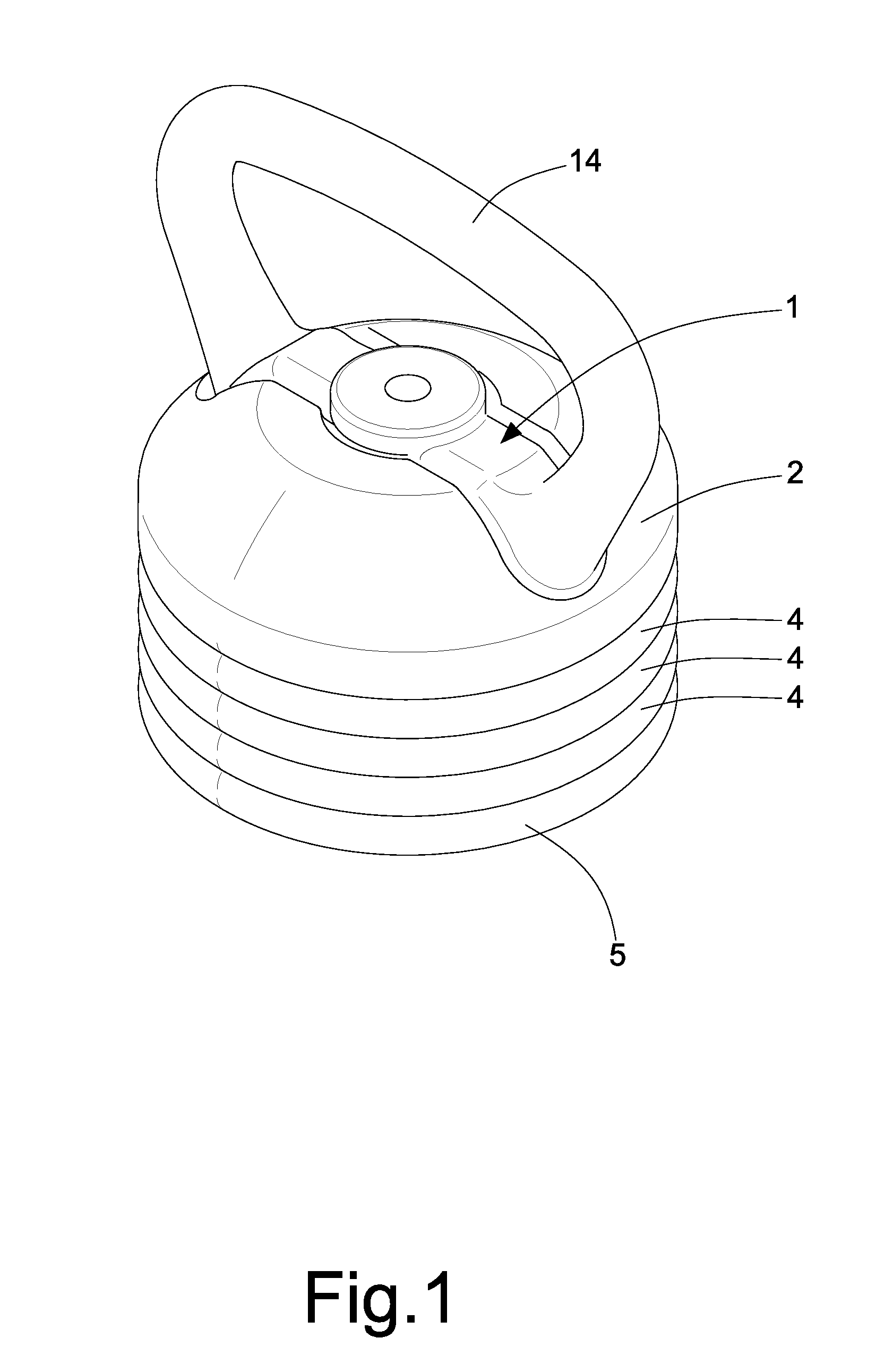 Adjustable and changeable weigth training device