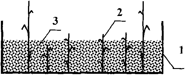 Method for diagnosing health of watershed ecology system