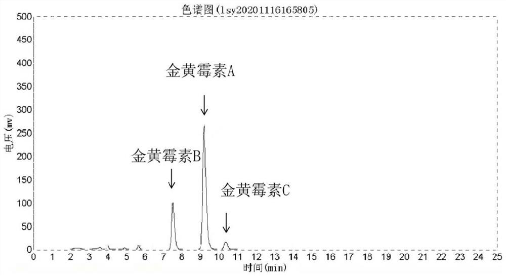 Streptomyces mutant strain and application of mutant strain