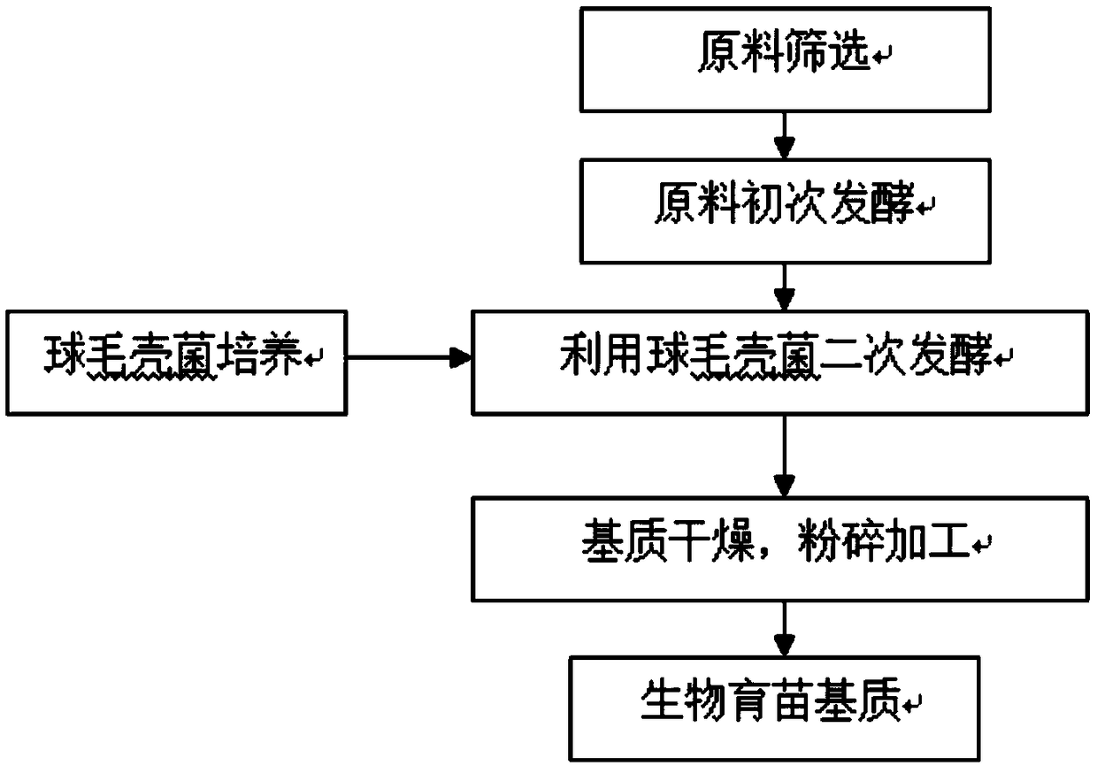 Preparation method and application of biological seedling raising substrate of chaetomium globosum