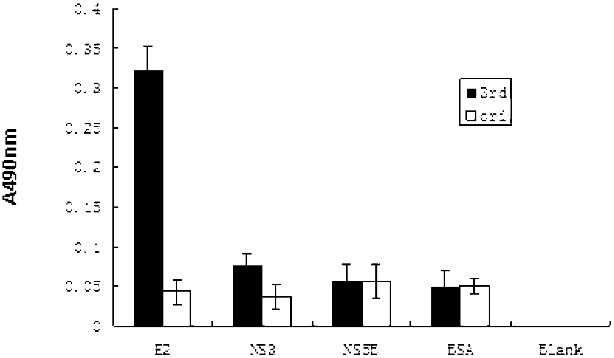 Polypeptide for inhibiting hepatitis C viruses (HCVs) from infecting cells, and its application