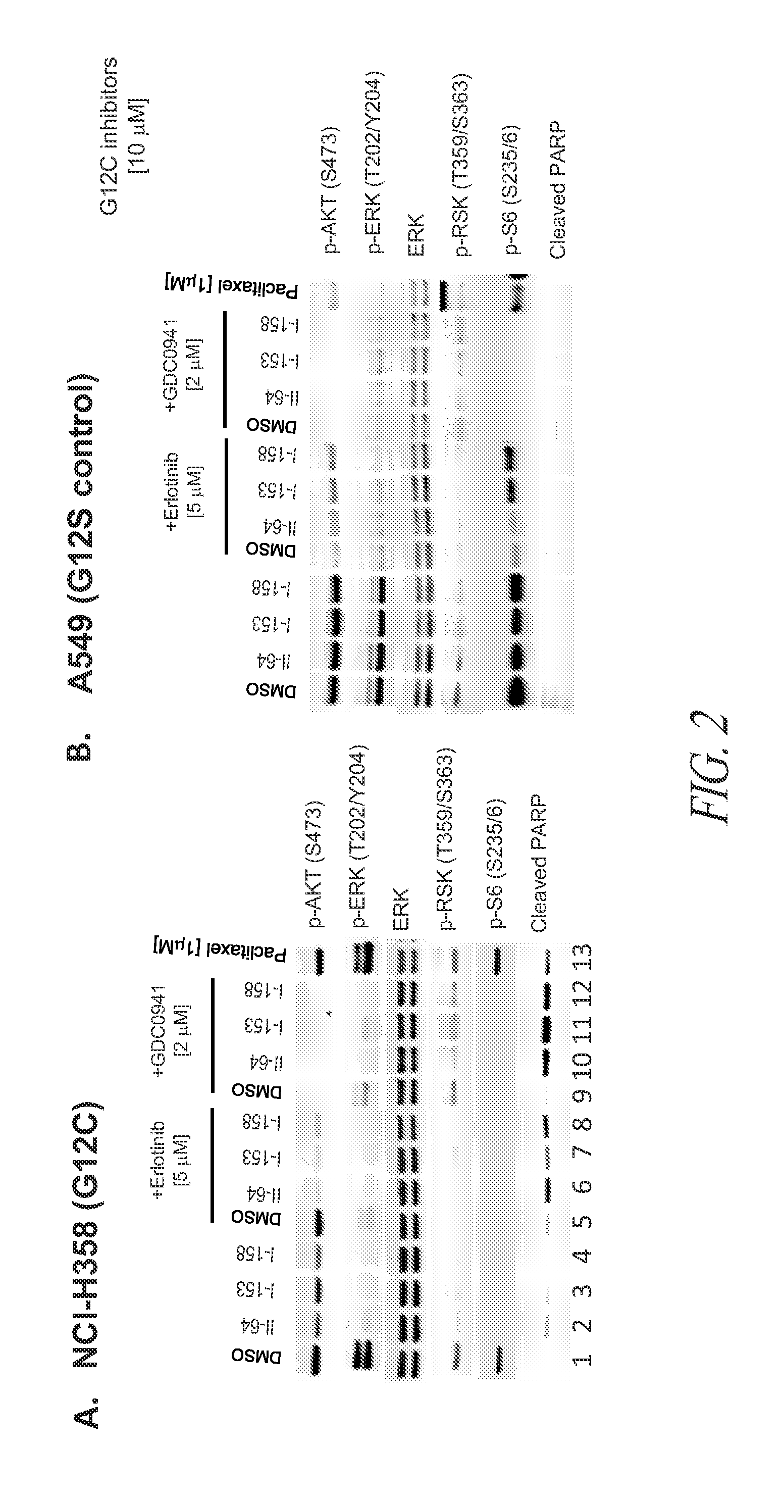 Combination therapies for treatment of cancer