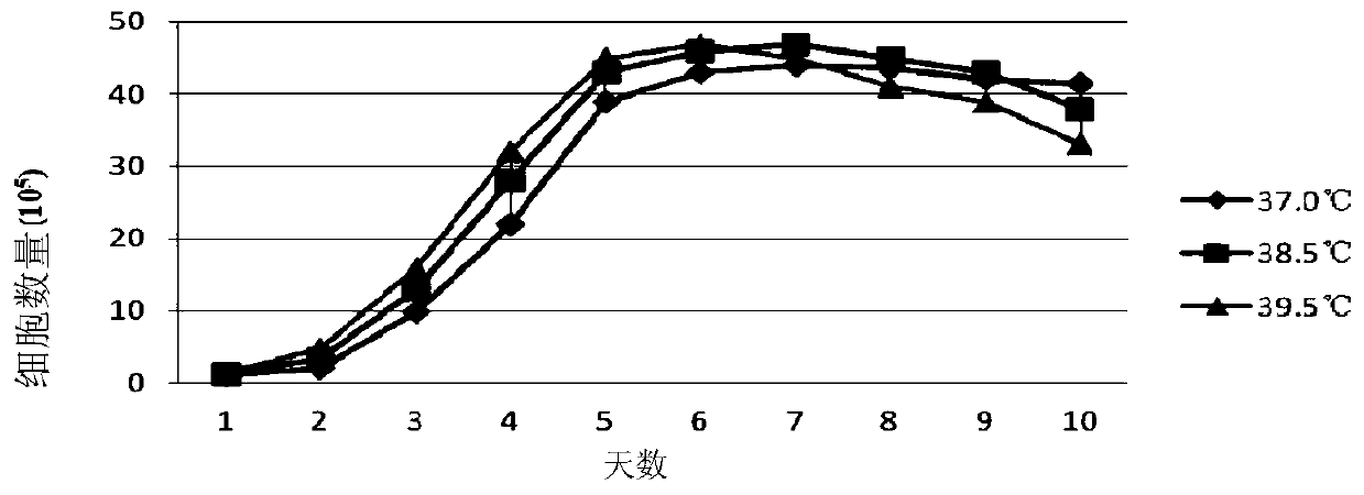 A natural passage cell line of lamb testis Sertoli cells and its application in the isolation, culture and propagation of sheep pox virus