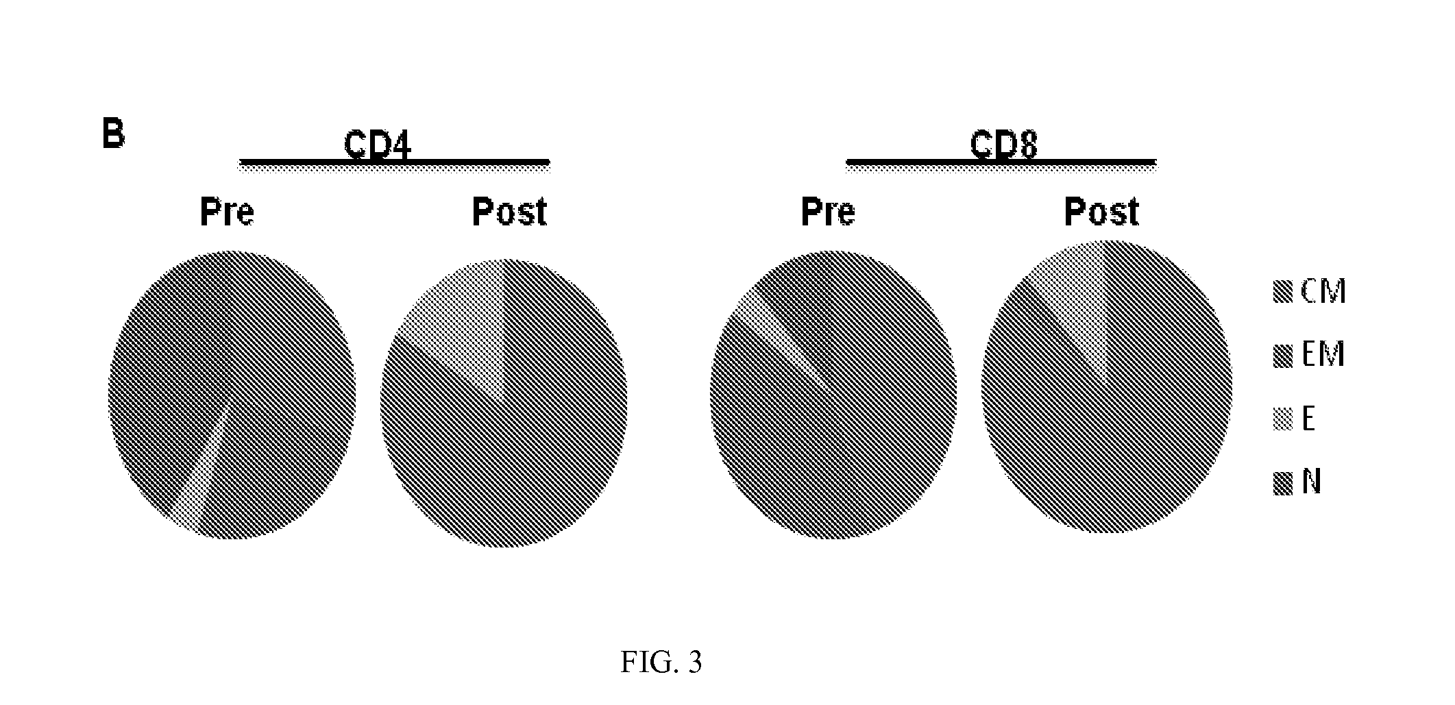 Use of Post-Transplant Cyclophosphamide Treated Allogeneic Marrow Infiltrating Lymphocytes to Augment Anti-Tumor Immunity