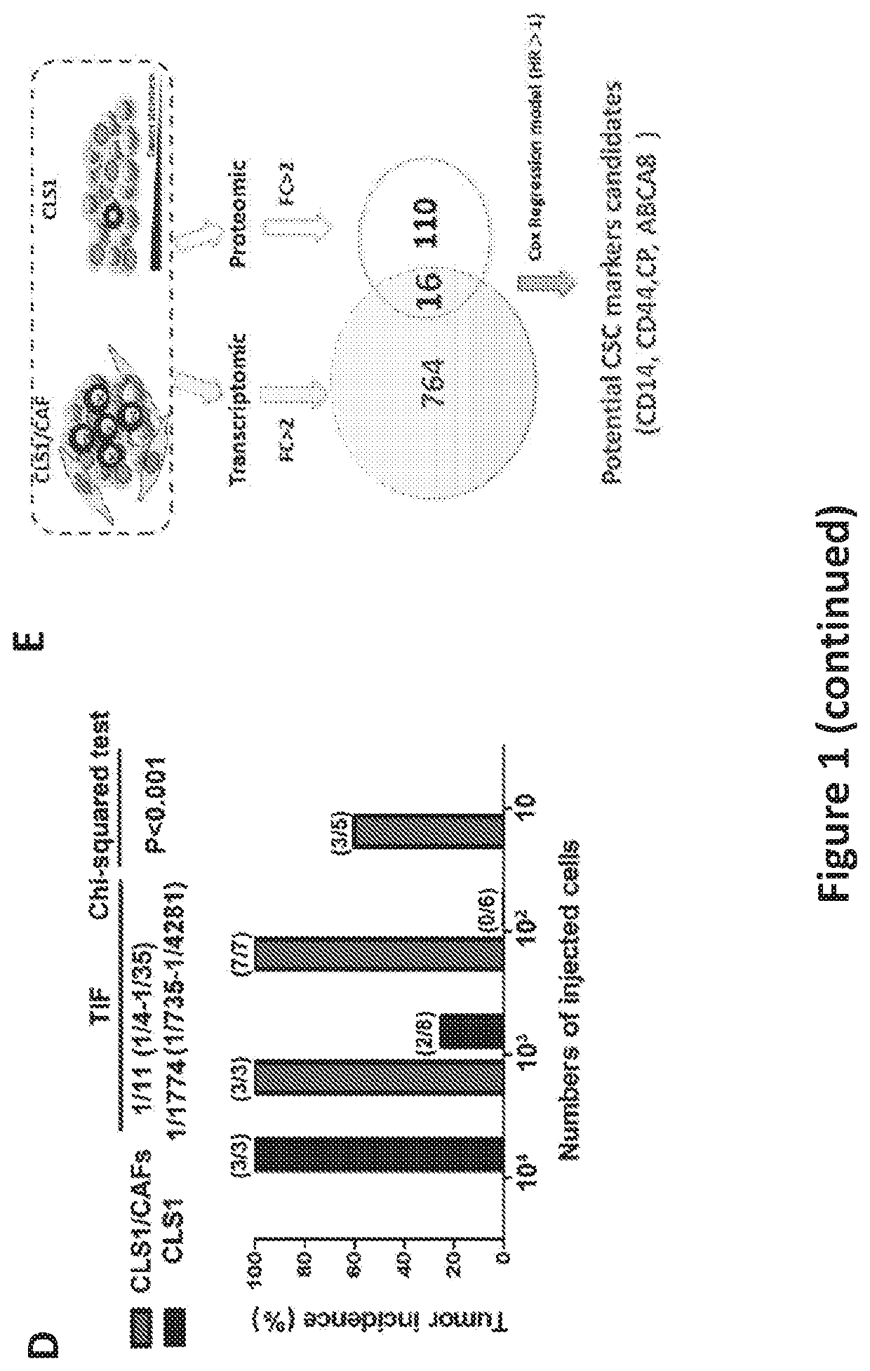 Biomarkers for lung cancer stem cells