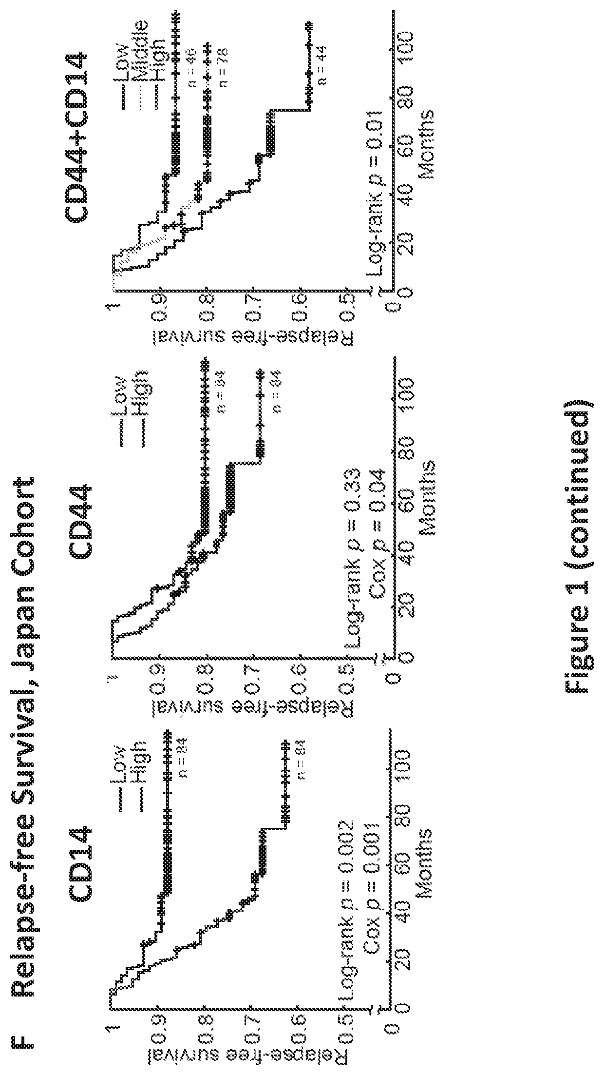 Biomarkers for lung cancer stem cells