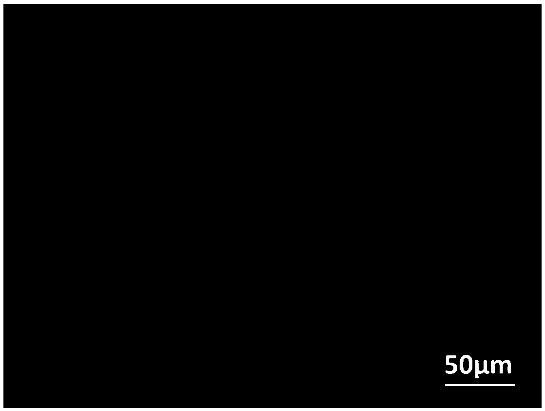 Nickel-copper (111) alloy single crystal film and preparation method thereof