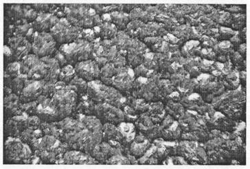 Method for growing polycrystalline diamond piece by using microwave plasma chemical vapor deposition method