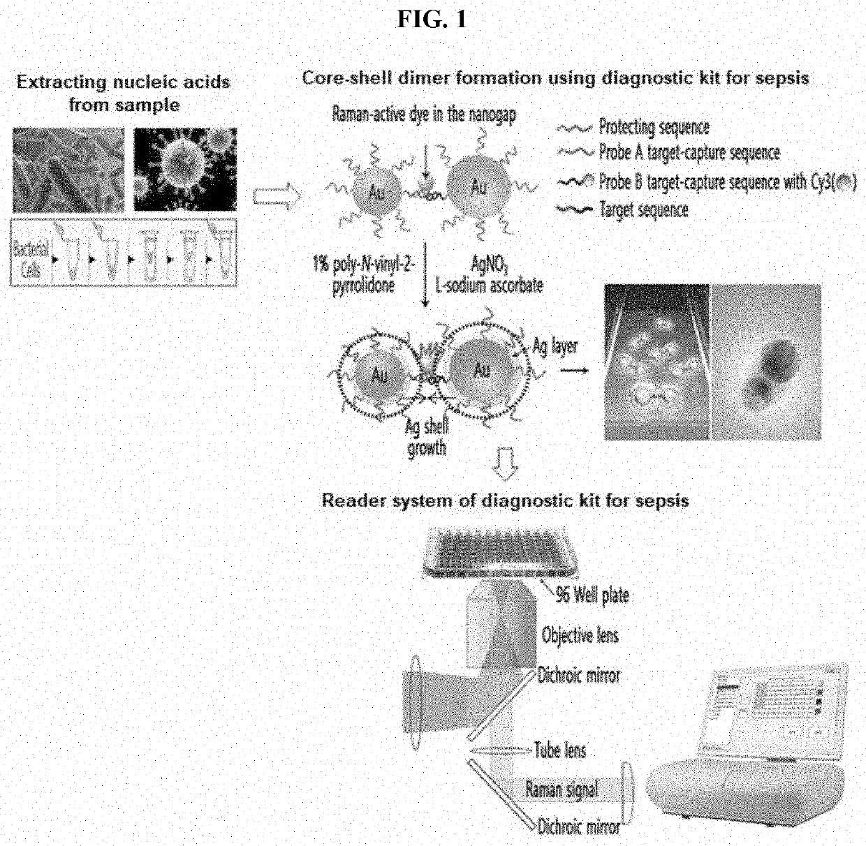 Diagnostic kit for sepsis and diagnosis method using same