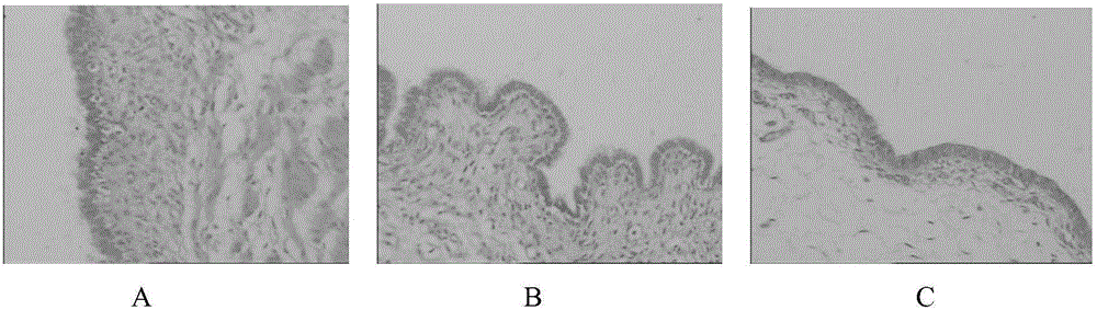 Composition and application and preparation thereof