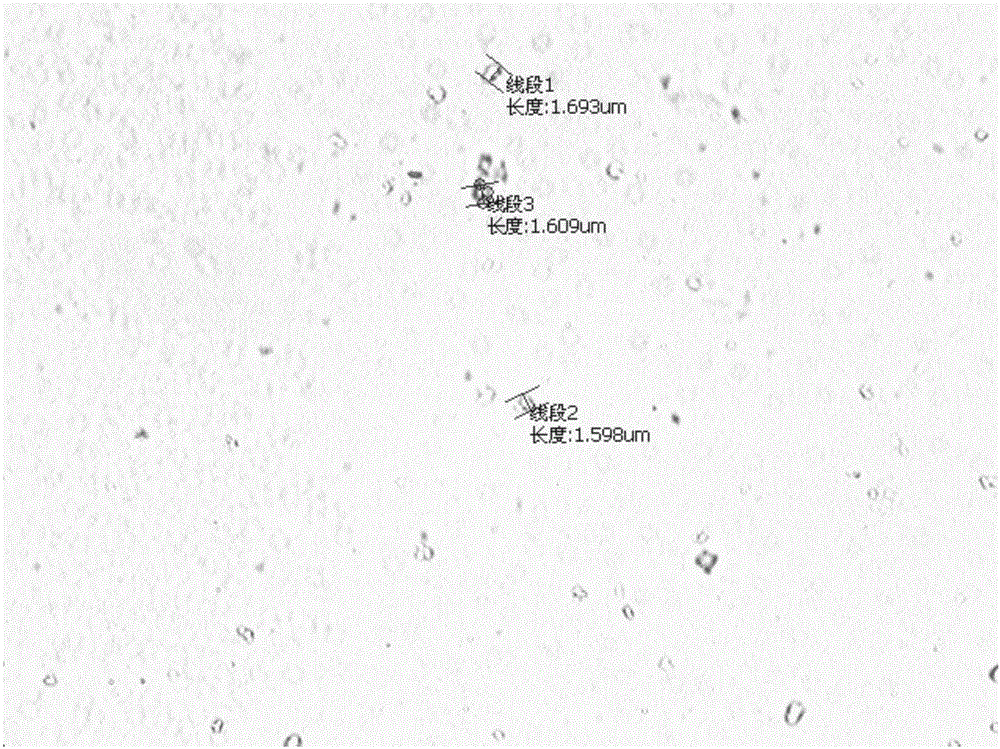 Composition and application and preparation thereof