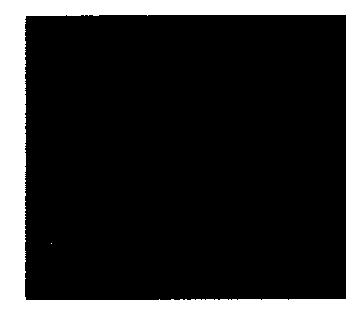 Photomask with novel three-layer-film structure, and preparation method thereof