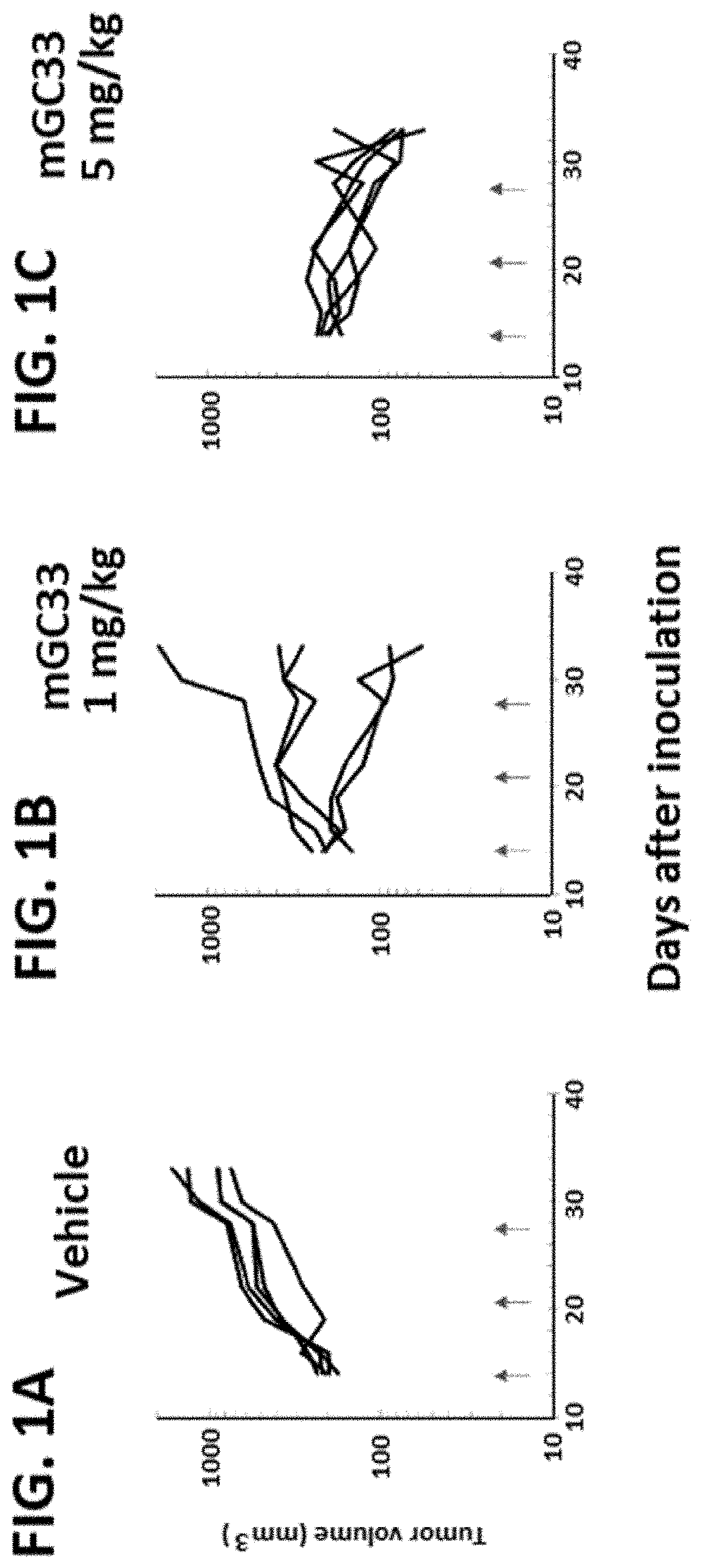 Dosage regimen for combination therapy using pd-1 axis binding antagonists and gpc3 targeting agent