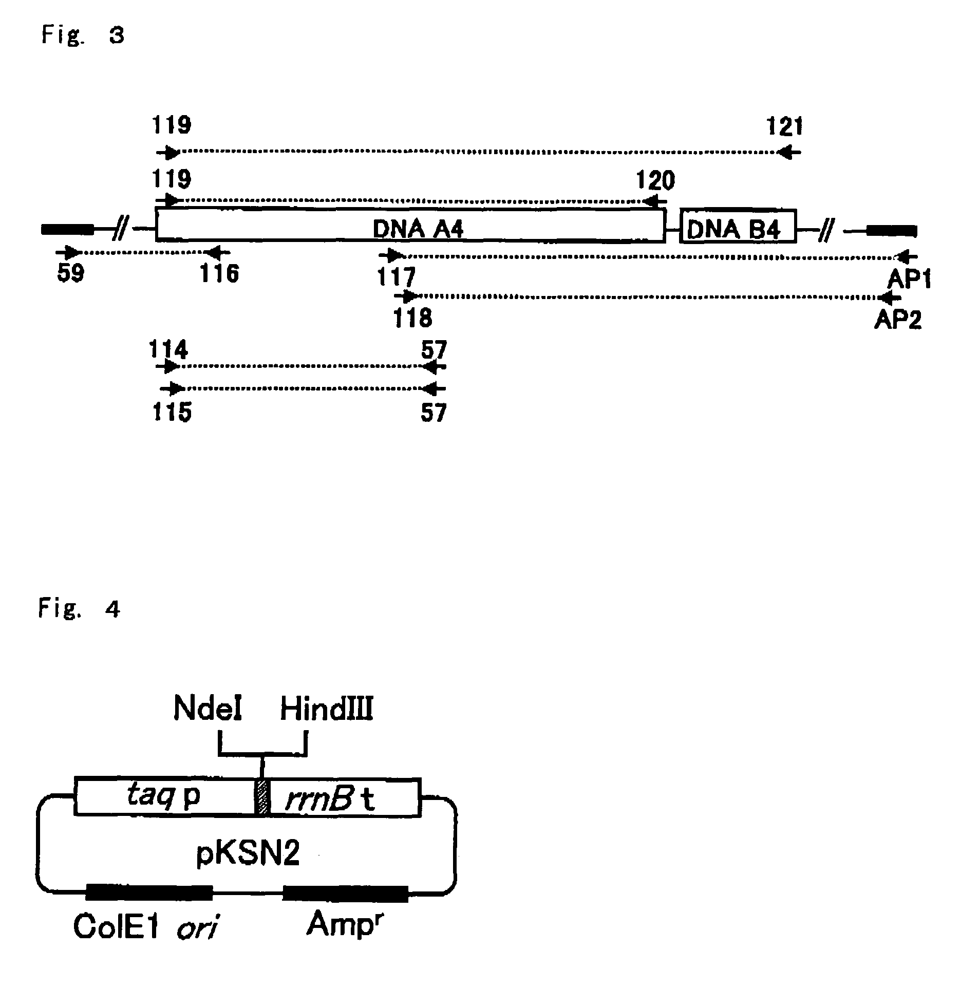 Weed controller metabolism proteins, genes thereof and use of the same