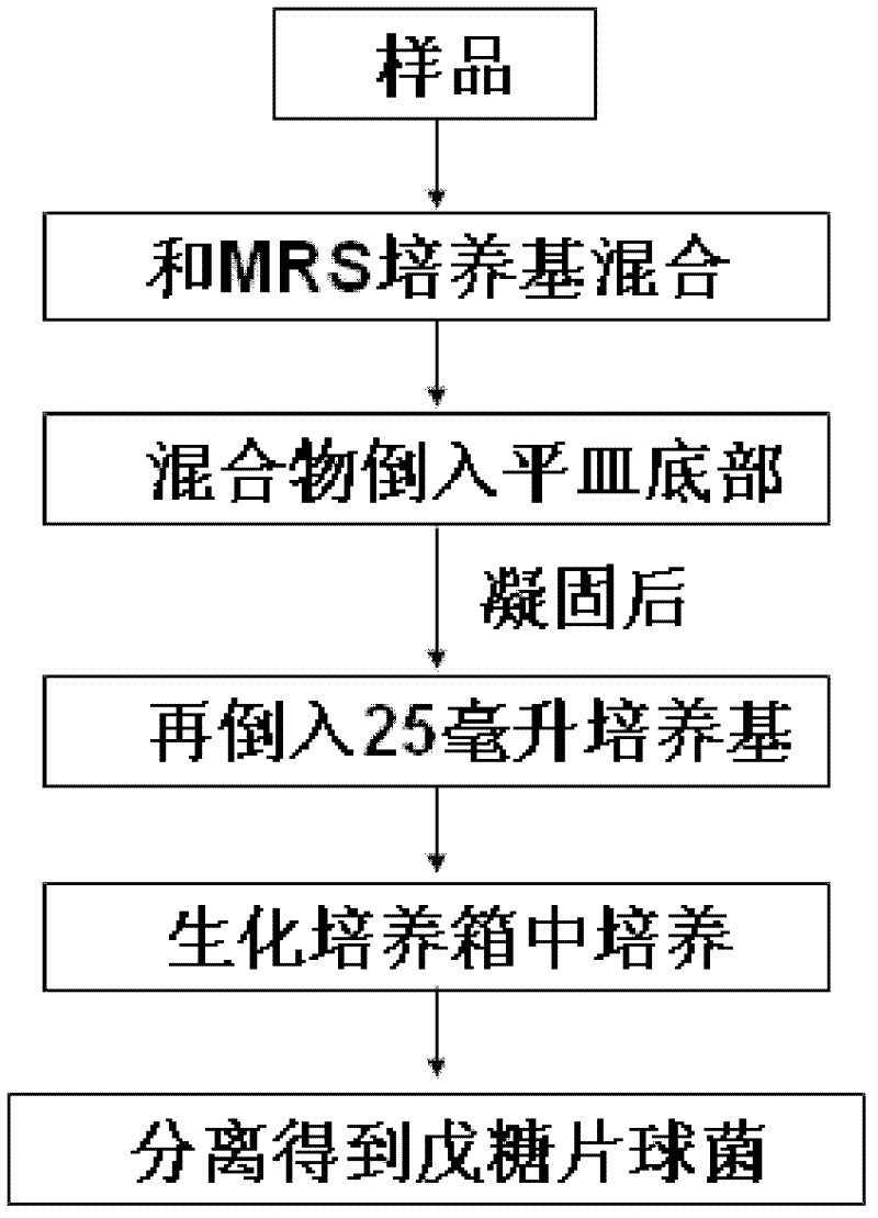 Method for separating pediococcus pentosaceus