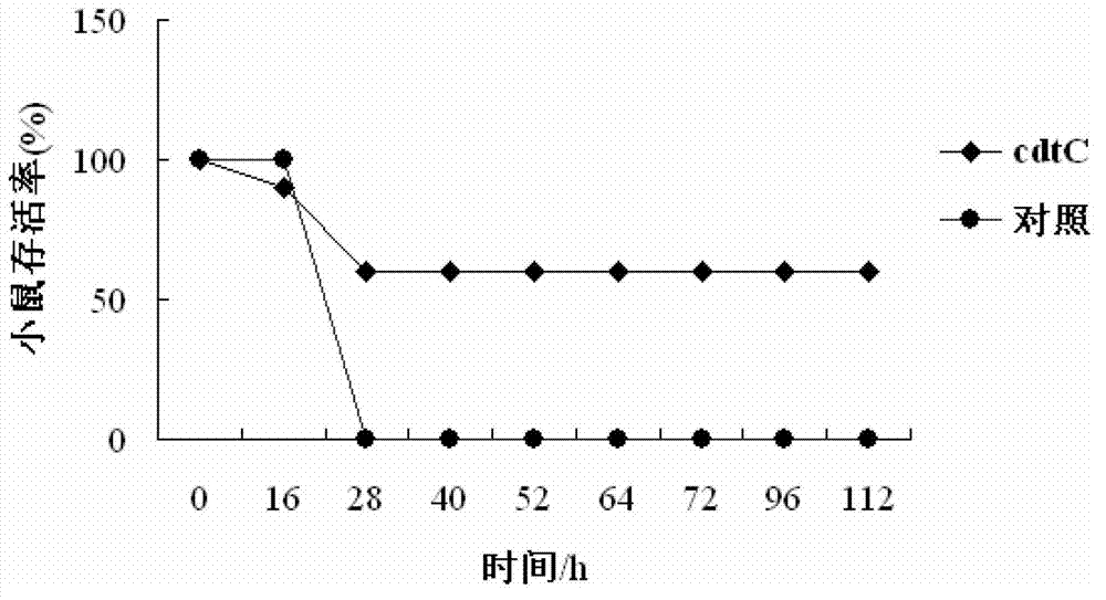 Haemophilus parasuis immunoprotective antigen CdtC