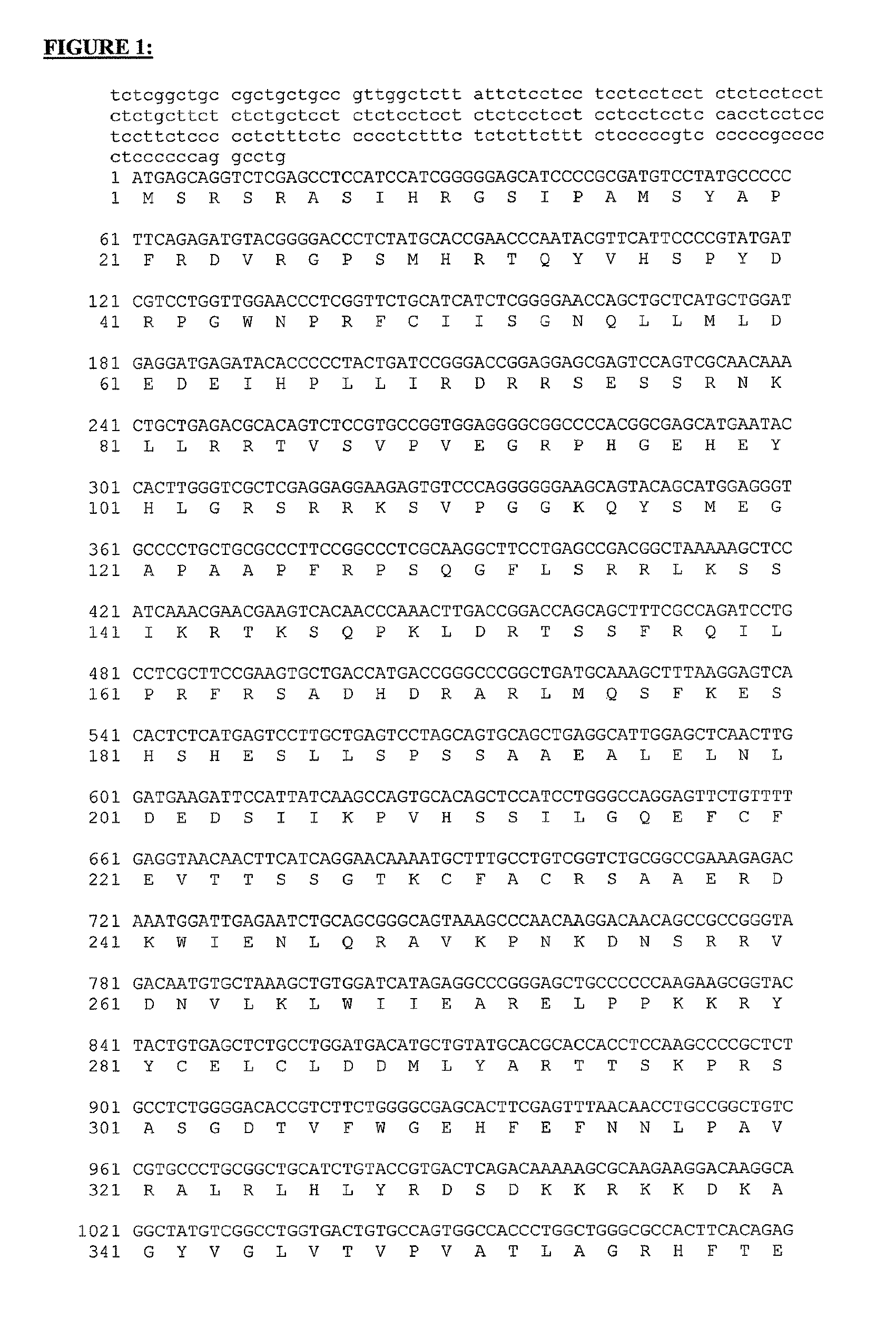 Syngap1 dysfunctions and uses thereof in diagnostic and therapeutic applications for mental retardation