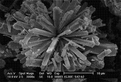 Synthetic method of zsm‑5 molecular sieve with special morphology