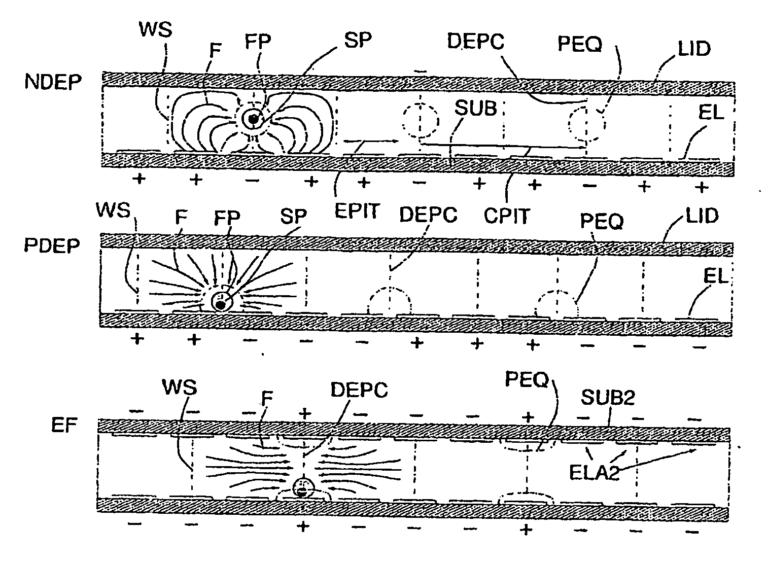 Method and apparatus for the separation and quantification of particles