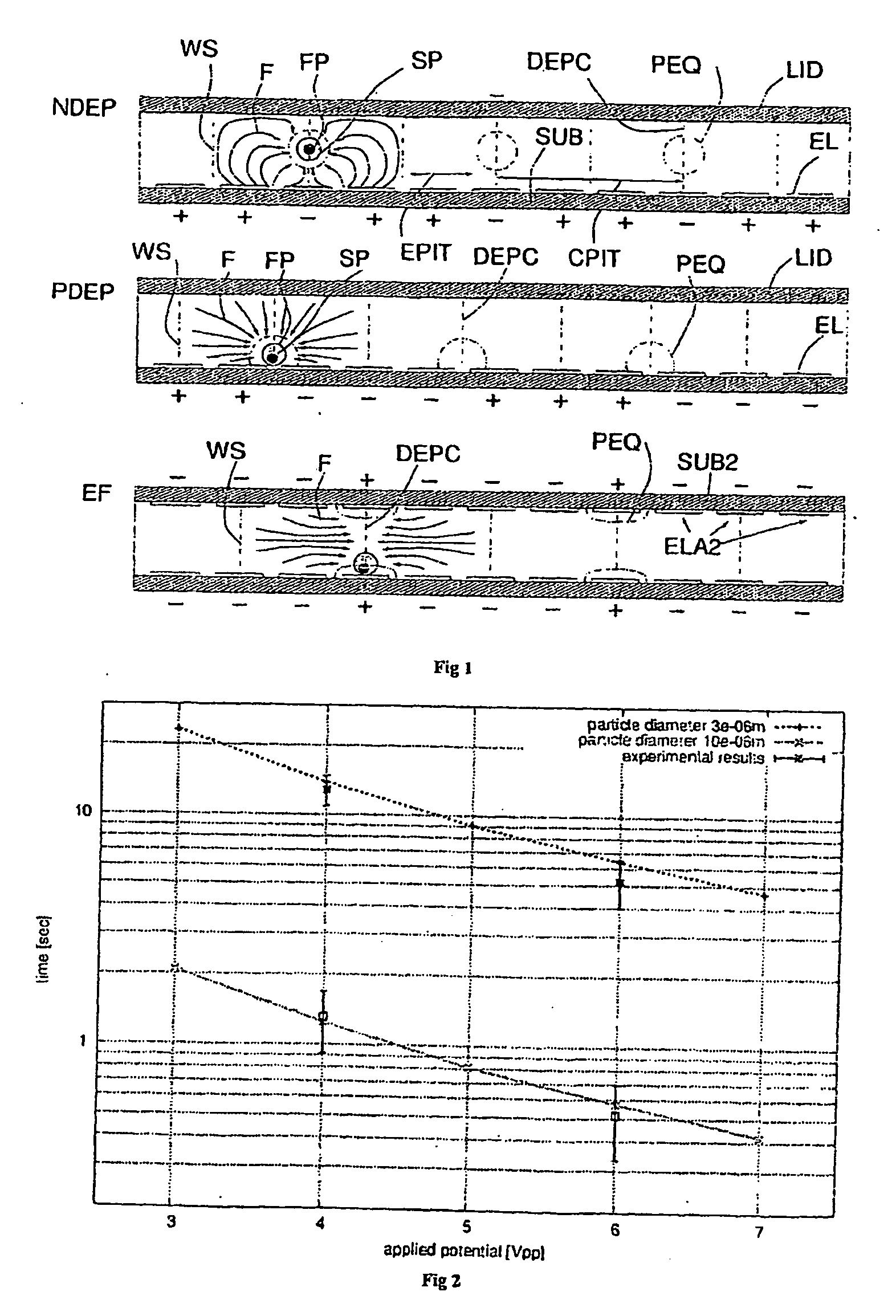 Method and apparatus for the separation and quantification of particles