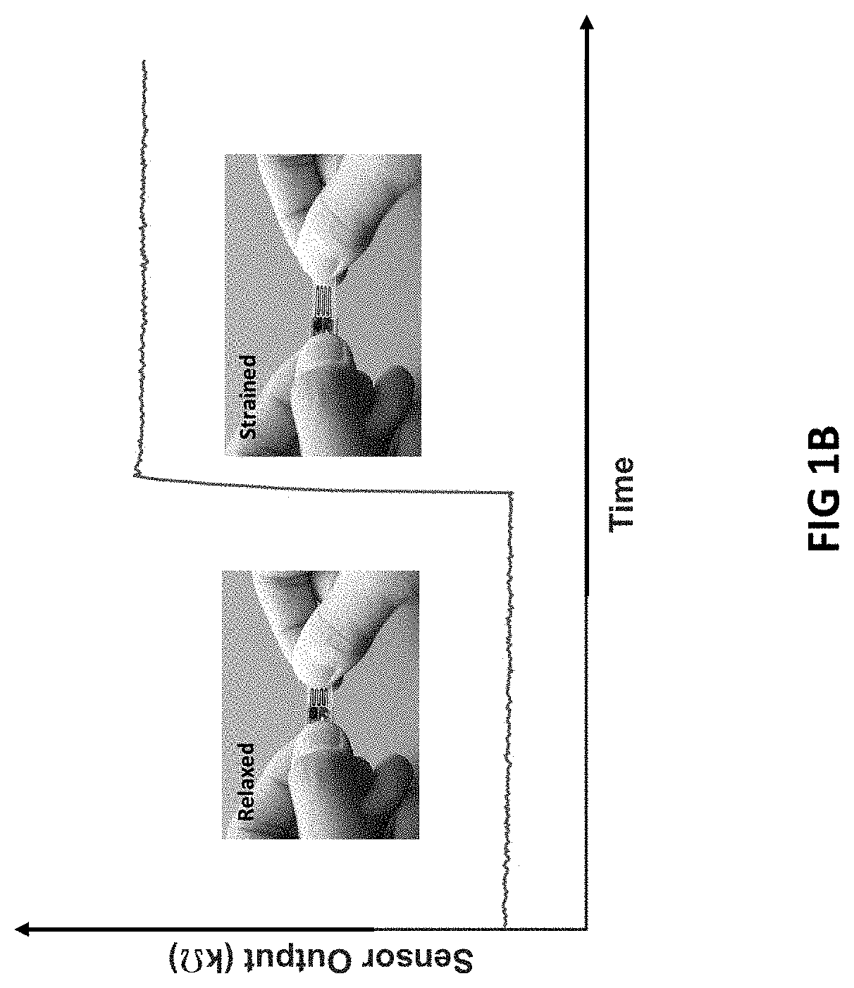 Combination of data from two external respiratory measurement sensors into one data stream