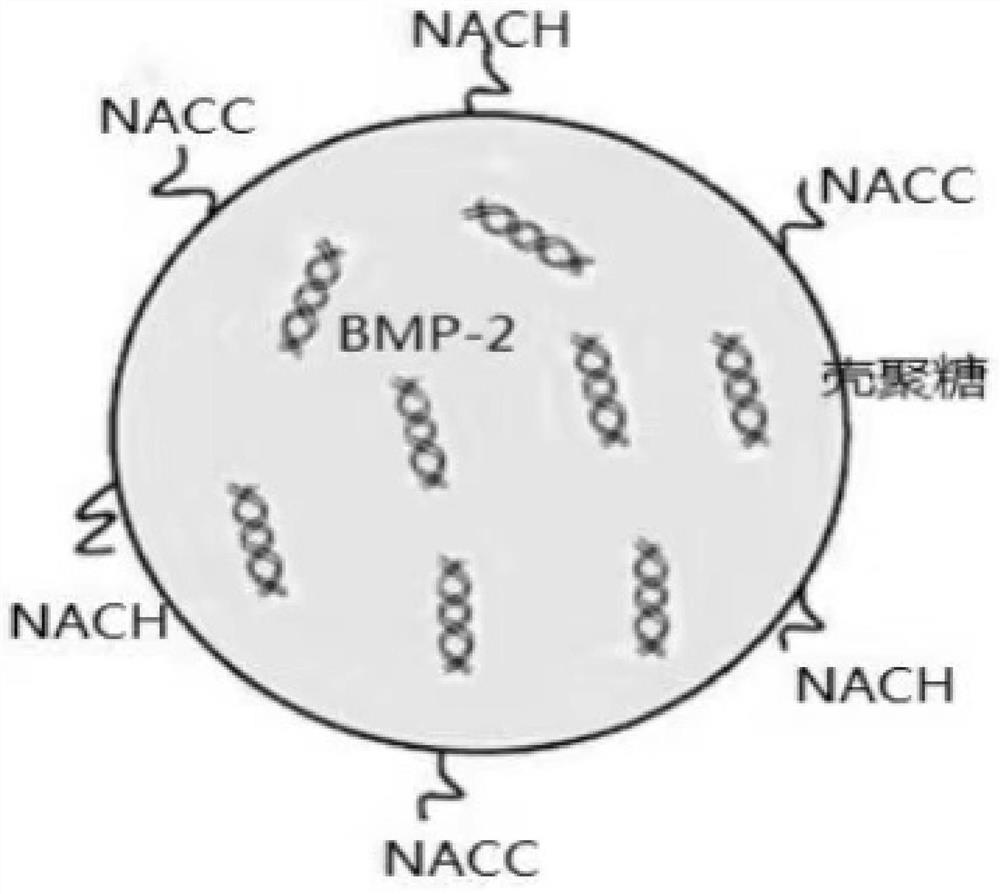 PH-sensitive antioxidant nano-carrier and preparation method and application thereof