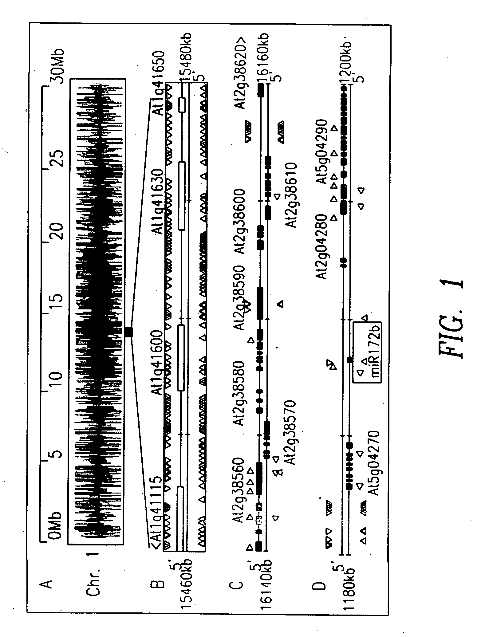 Small regulatory RNAs and methods of use