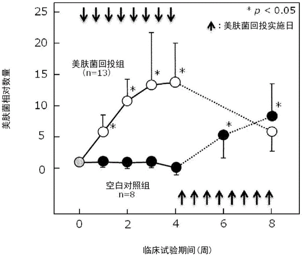 Cosmetic method, composition for skin care, bacterial cells and dried bacterial cells