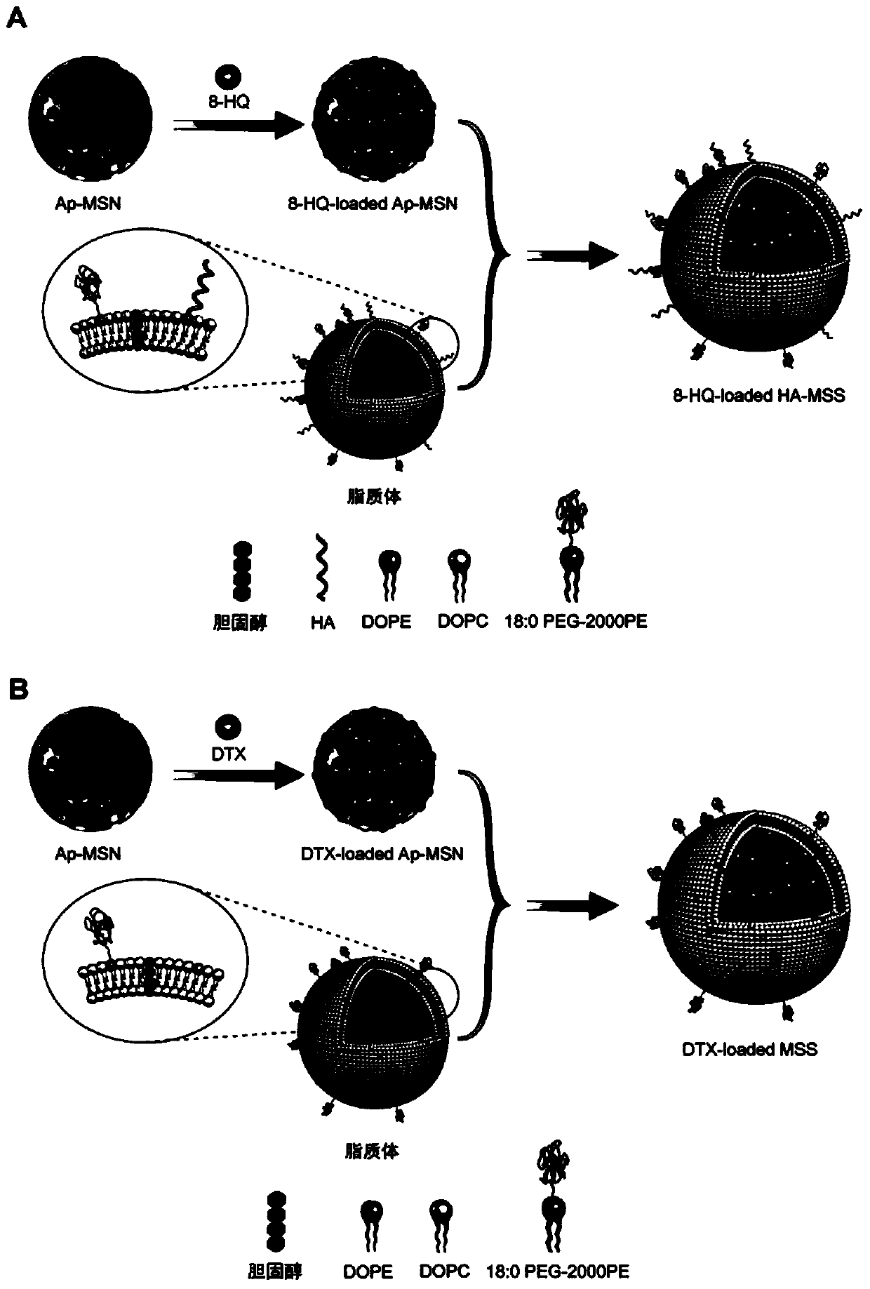 Mesoporous silica nano-preparation and its preparation method and use