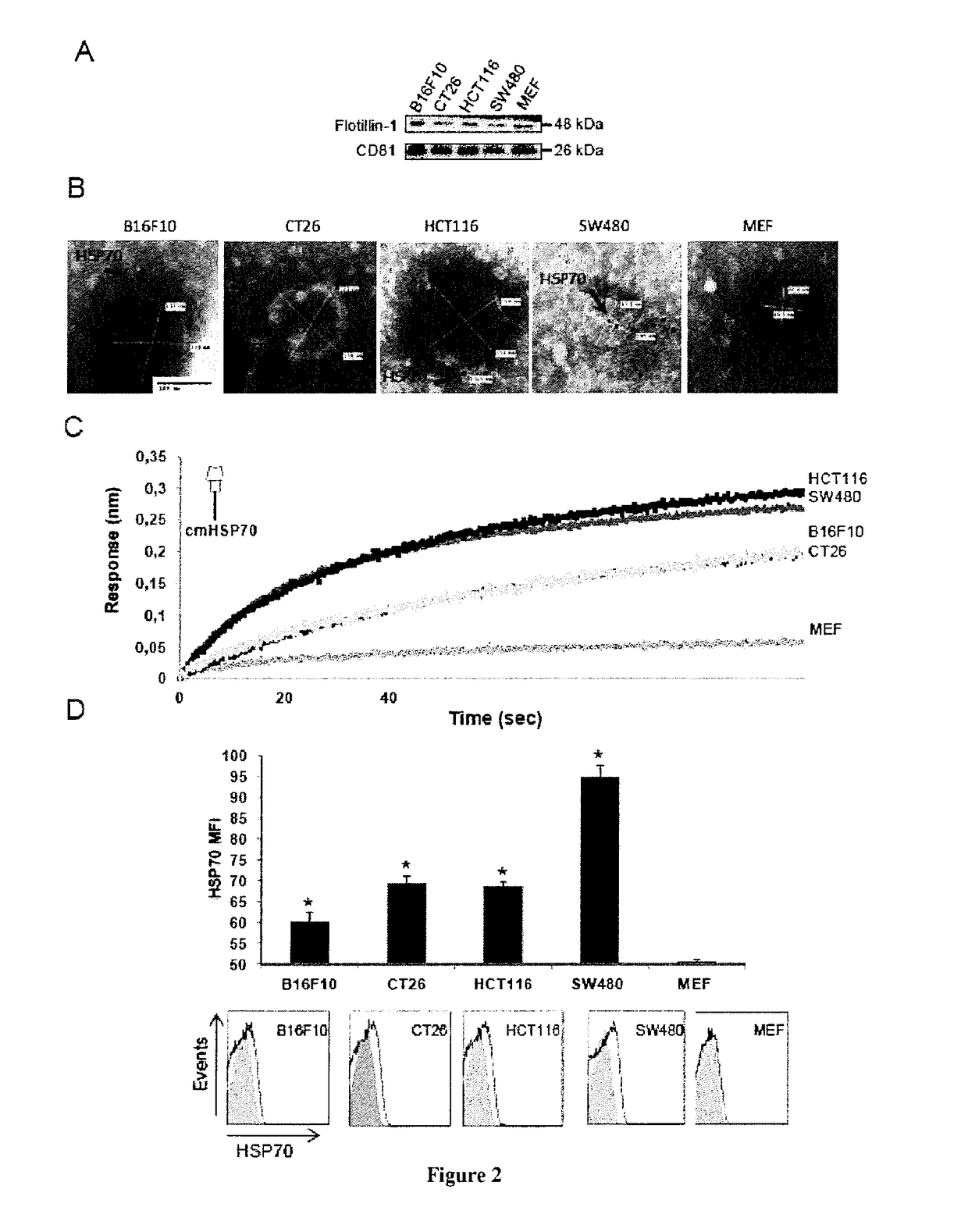 Methods and compositions for diagnosing, monitoring and treating cancer