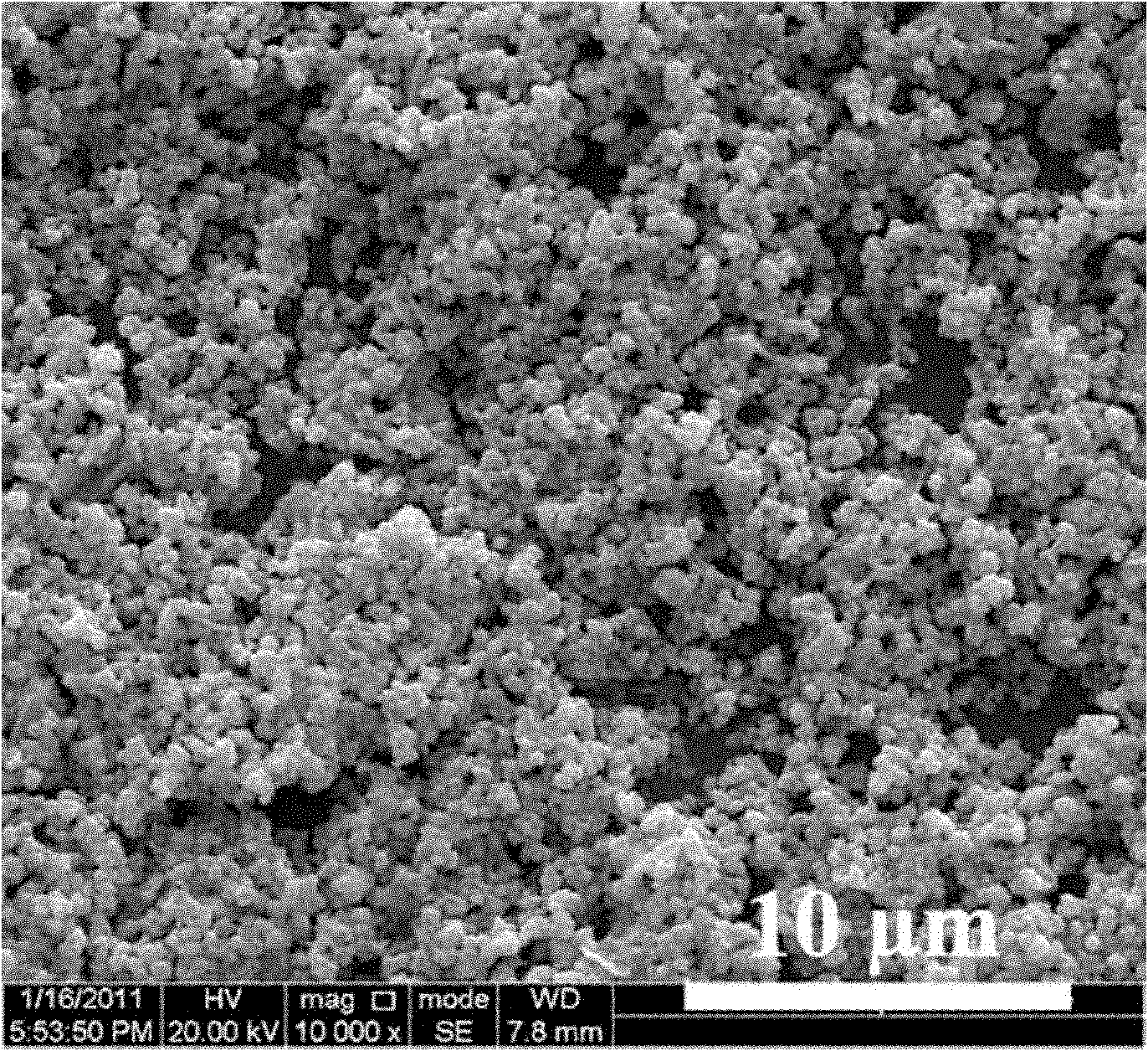 CdS/MoO3 composite photocatalyst and preparation method thereof