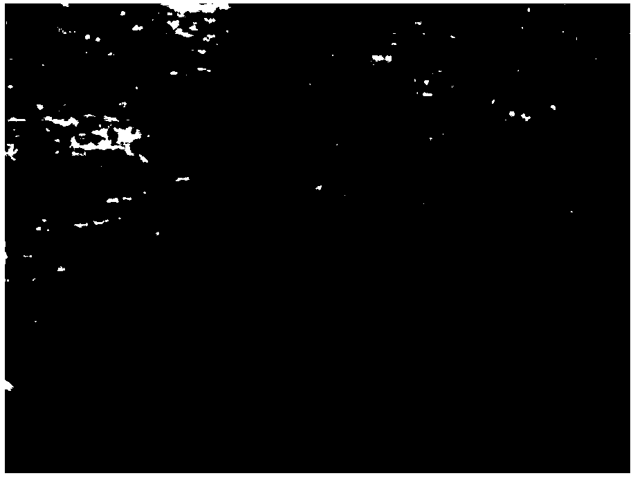 Tunnel structure suitable for strong-expanding potential fault crushed zone