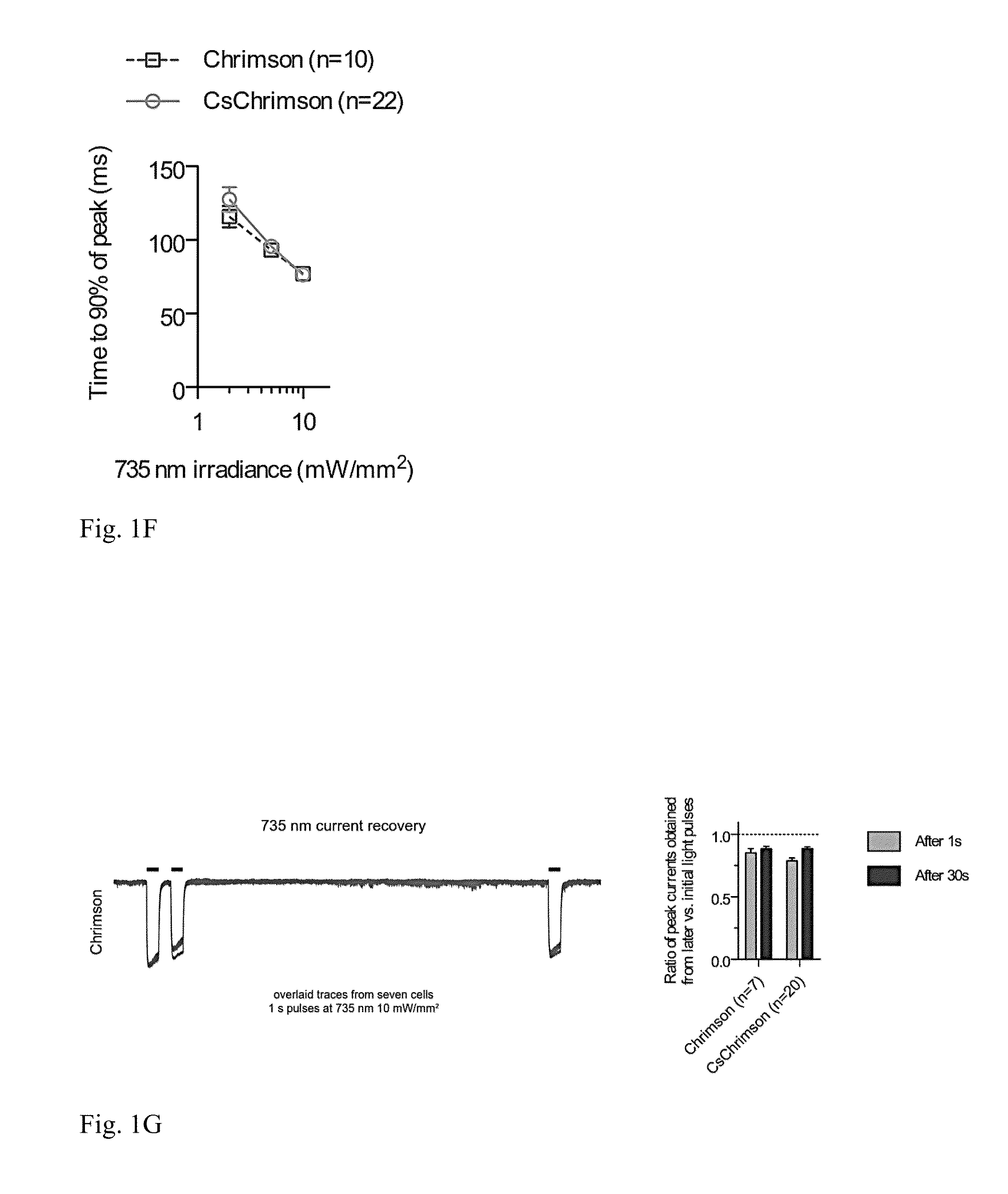 Channelrhodopsin variants and uses thereof