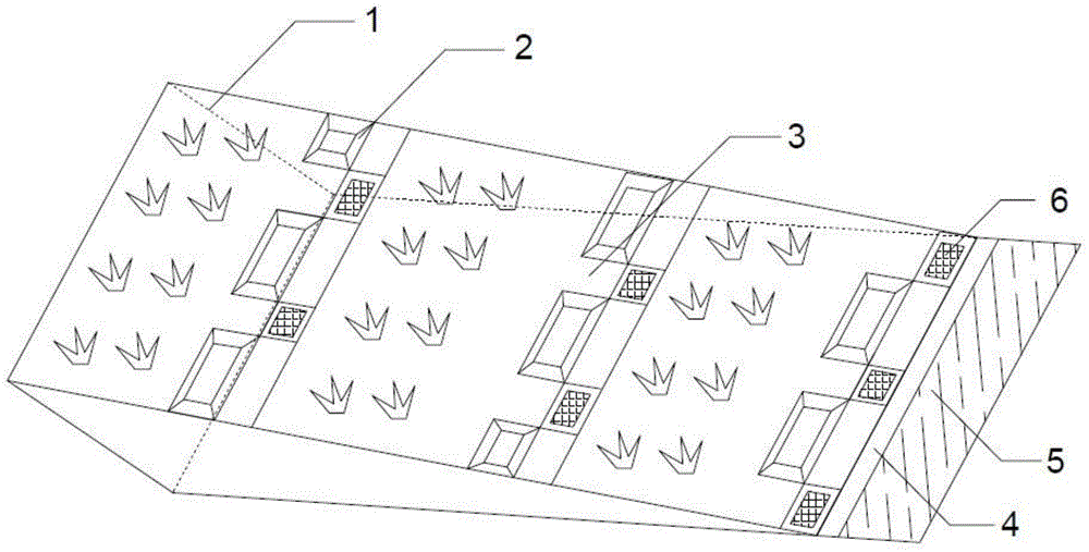 Method for reducing slope cropland non-point source pollution by biochar-improved ecological ridge