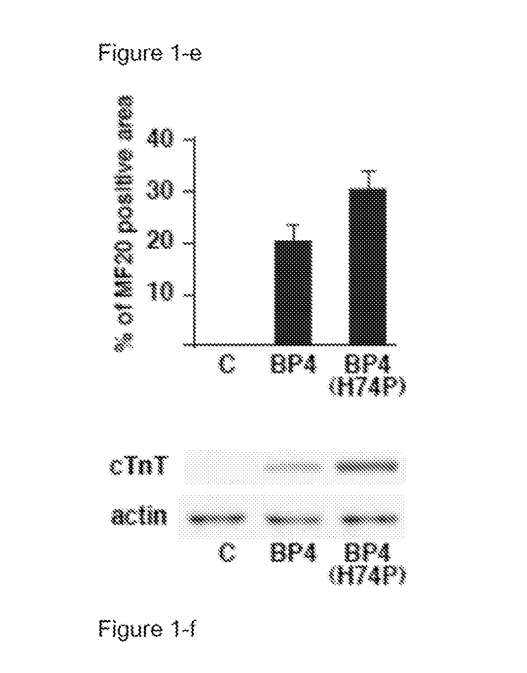 Wnt Signaling Inhibitor Comprising Insulin-Like Growth Factor-Binding Protein