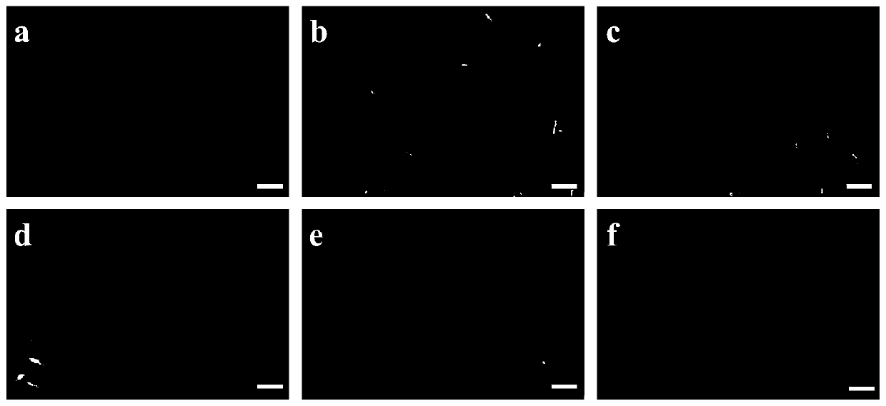 Silver nanowire continuous production method for solvent recovery and recycling