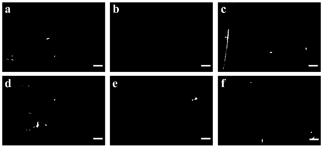 Silver nanowire continuous production method for solvent recovery and recycling