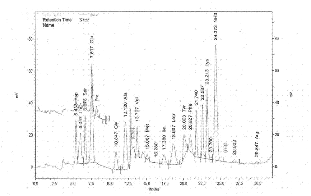 Pickling process method for secondary fermentation of leaf mustard and application in production of ready-to-eat pickles thereof