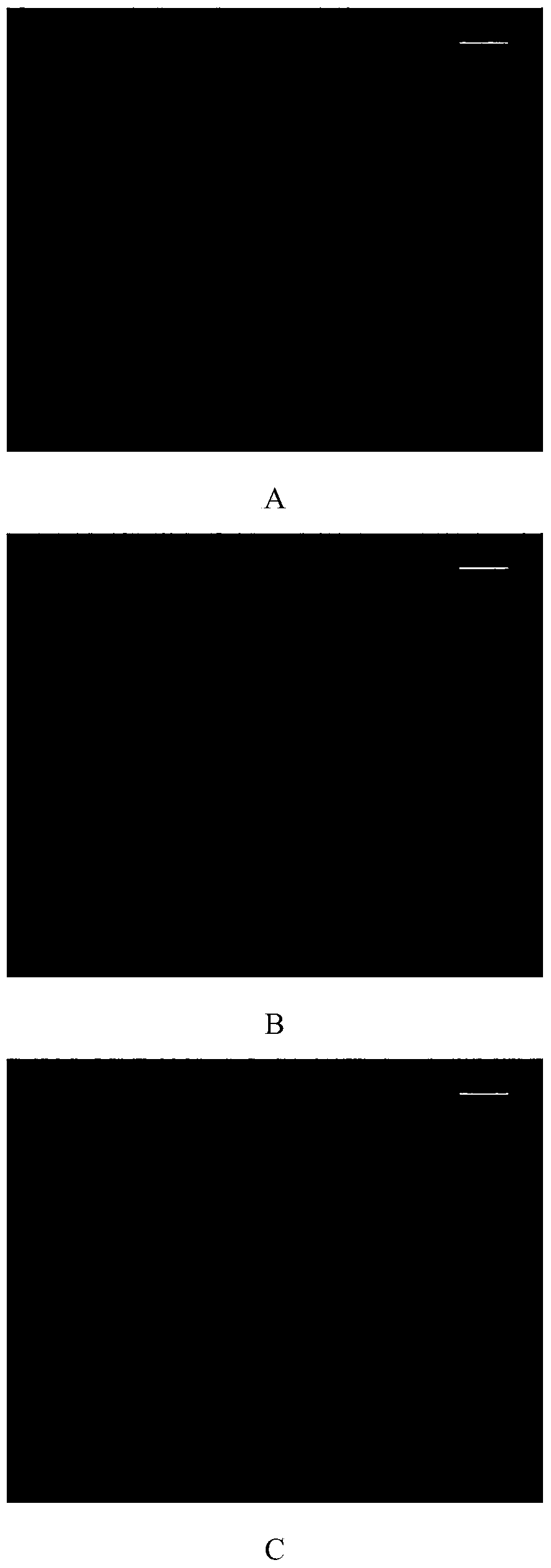 70 kg-class TMCP type high-strength steel and method for manufacturing extend rate detection samples thereof