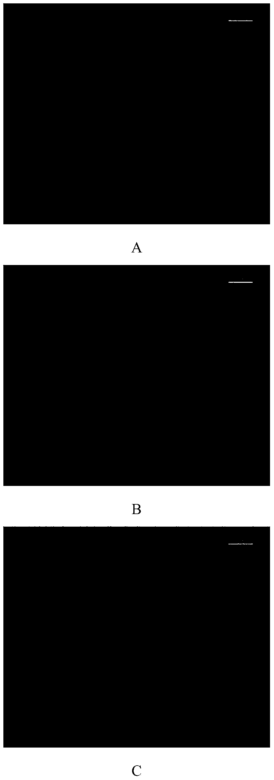 70 kg-class TMCP type high-strength steel and method for manufacturing extend rate detection samples thereof